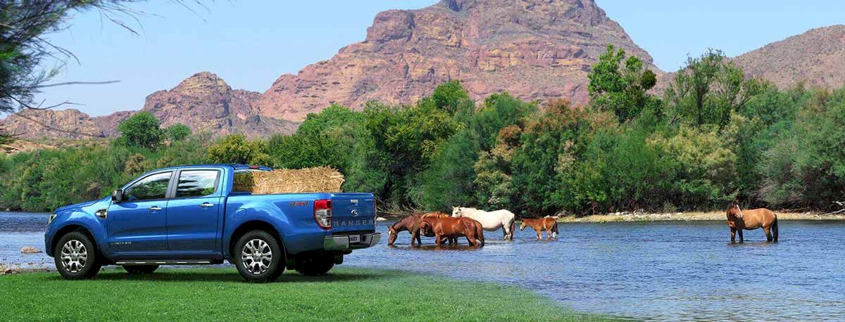 Ford Ranger là chiếc xe bán tải với khả năng toàn diện trên nhiều địa hình